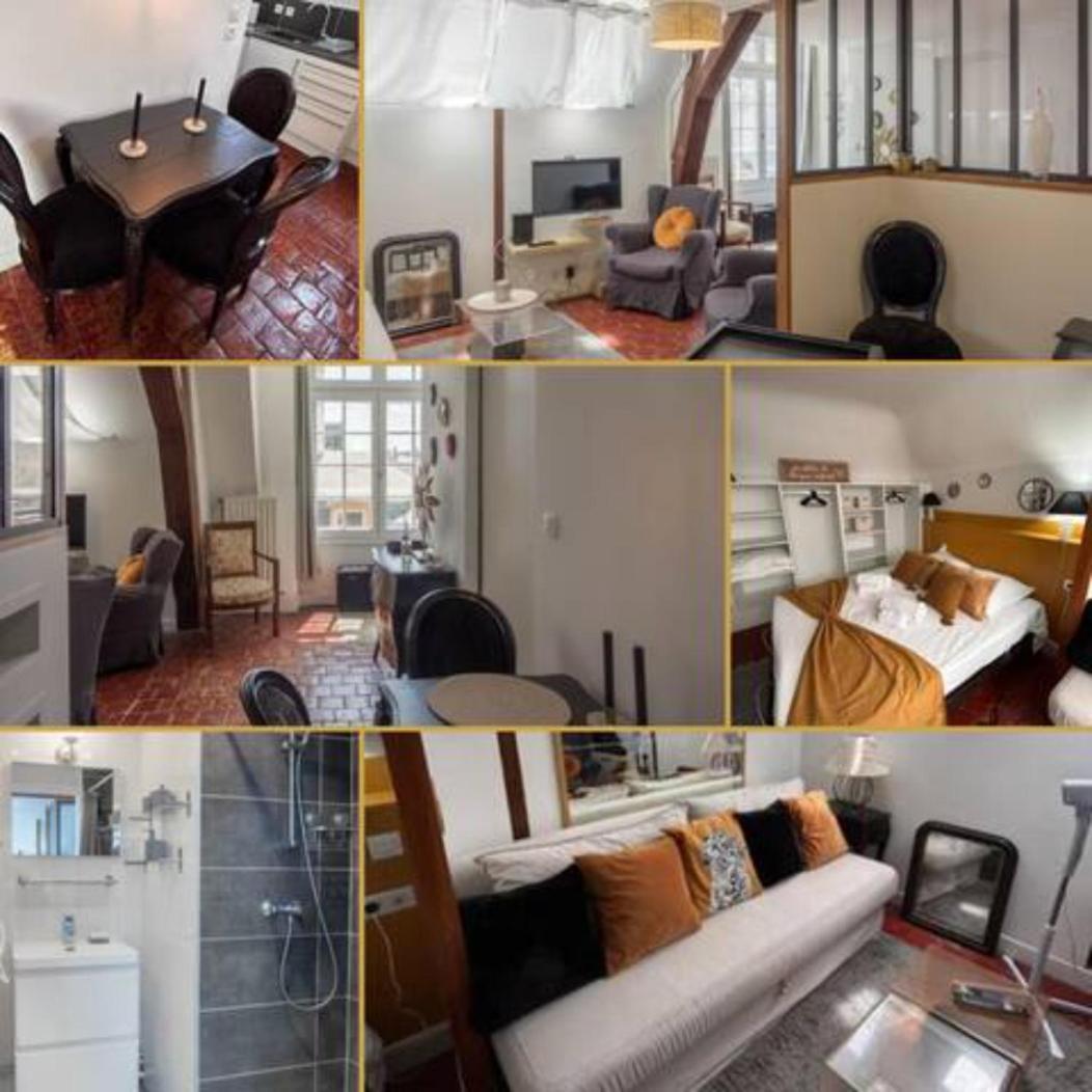 Le Sainte Anne *Studio* Appartement Orléans Buitenkant foto